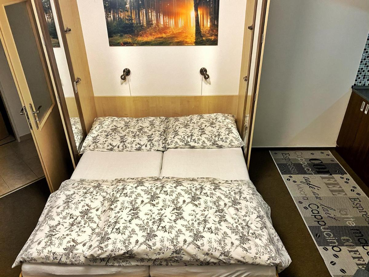Apartman Modra Hvezda Rokytnice nad Jizerou Ngoại thất bức ảnh