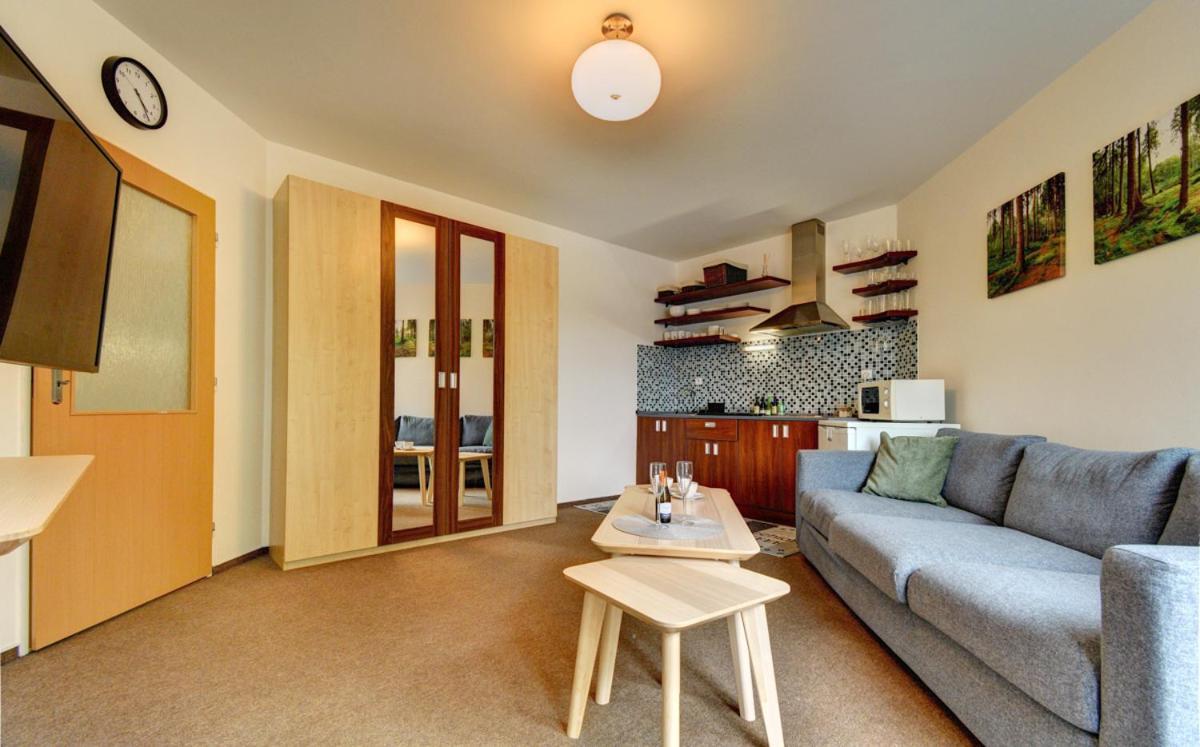 Apartman Modra Hvezda Rokytnice nad Jizerou Ngoại thất bức ảnh